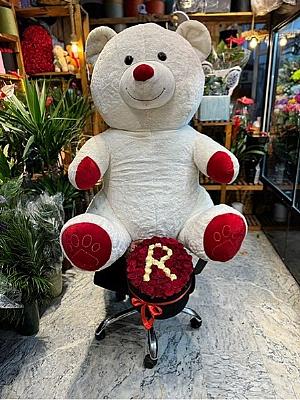 Kutuda Krmz Gl ve Ayck